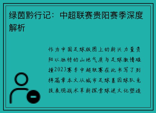 绿茵黔行记：中超联赛贵阳赛季深度解析